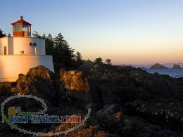 طراحی وگچ کاری ویژه منازل مسکونی وساختمانهای اداری