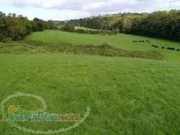 فروش زمين 600 هكتاري بر اتوبان 