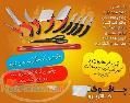 چاقو های آشپزخانه کانتر پرو اصل 