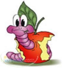 فروش ورمی کمپوست و کرم خاکی بصورت تضمینی