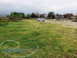 ٢٥٠٠ متر زمين كنار شهرك سي بن (دريا بيشه) 