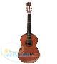 گیتار کلاسیک برگمولر  FC11 