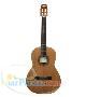 گیتار کلاسیک برگمولر  BM2C 