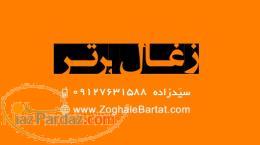 تولید و پخش زغال لیمو برتر تهران 