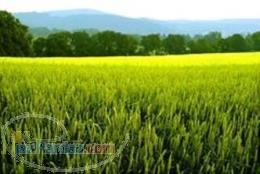 گروه املاک خزر 