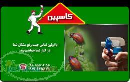 سمپاشی حشرات