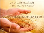 وارد كننده غلات ايران
