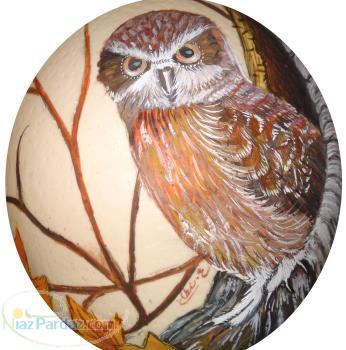 تخم شتر مرغ نقاشی شده