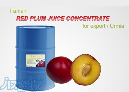 فروش کنسانتره آلوقرمز با کیفیت صادراتی