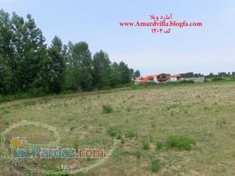 فروش فوری باغ 1000متری در چمستان 