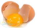 فروش تخم مرغ رسمی بومی دوزرده تک زرده 
