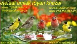 فروش و پیش فروش ویلا زیر قیمت نقدواقساط نوشهر سیسنگان 