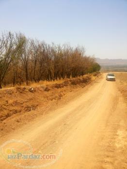 فروش باغ بادام سامان شهرکرد 