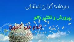 فروش زالوی طبی- زالوی مولد -روغن زالو