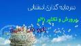 فروش زالوی طبی- زالوی مولد -روغن زالو