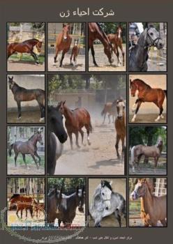 مرکز انجماد اسپرم و انتقال جنین اسب