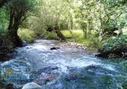 فروش زمین ویلایی و باغ در پیست سهند (منطقه خوش آب و هوای متنق) سه راهی متنق املاک شهریار