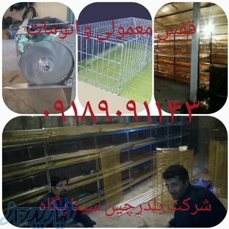 قفس بلدرچین