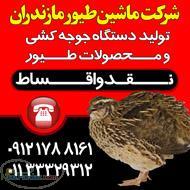 فروش عمده دان و پلت برای مرغ و بلدرچین قیمت ارزان 