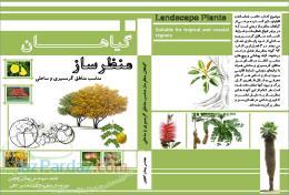 گیاهان منظرساز مناسب مناطق گرمسیری و ساحلی
