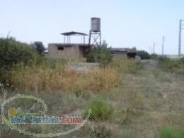 فروش دامداري 