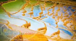 تور باداب سورت 