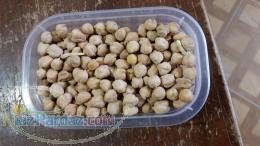 خرید و فروش نخود 