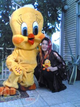 تولید کننده تن پوشهای تبلیغاتی و نمایشگاهی عروسکی در ایران-تبریز 