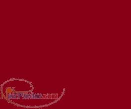 فروش دستگاه چمن زنی باقیمت باورنکردنی 