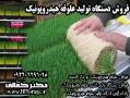 فروش دستگاه تولید علوفه هیدروپونیک وعلو  - تهران