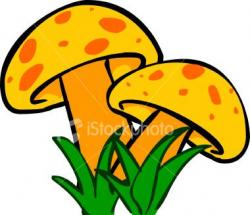 مشاوره تخصصی پرورش قارچ خوراکی  - تهران