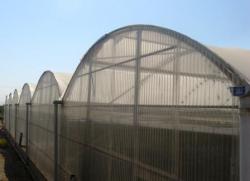 گلخانه مکانیزه طرح اروپا  - تهران