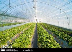 طرحهای توجیهی فنی و اقتصادی  3  - تهران