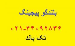 بلندگو شیپوری با ترانس مچینگ  - تهران