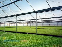 شركت های گلخانه سازي 