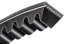 واردات و پخش انواع تسمه پروانه  - تهران