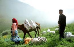 اجاره بهترین ویلاها سوئیت ها