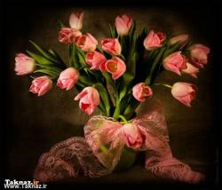 فروش نخ ونقشه تابلوفرش لوازم قالیبافی  - تهران