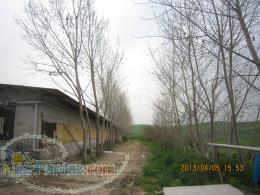 اجاره یا فروش مرغداری 10000 قطعه ای واقع در مازندران ساری 