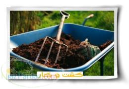 عرضه کود آلی و طبیعی قدرتمند با پایه آمینواسید