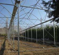 گلخانه ساز گلخانه دست دوم  - تهران