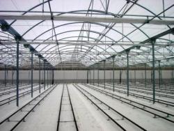 گلخانه ایرانی با کیفیت اسپانیائی  - تهران