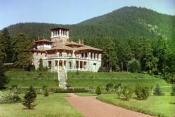 مجری مستقیم تور گرجستان 26420852 021  - تهران