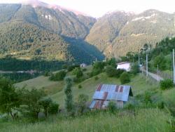 فروش زمین 1000متری جواهرده رامسر 