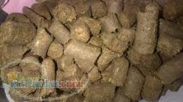 فروش باگاس نیشکر