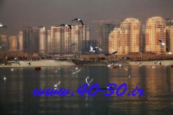 رهن و اجاره اپارتمان در شهرک راه اهن  - تهران