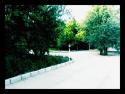 فروش باغ 3700 متری در شهریار کردزار 