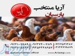 صادرات انواع گوشت به افغانستان ترکیه عراق