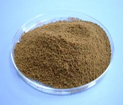 تولید و فروش پودر ماهی ساحل کار انزلی 