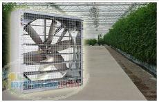 سیستم فن و پد مخصوص گلخانه